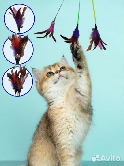 Кошачья игрушка