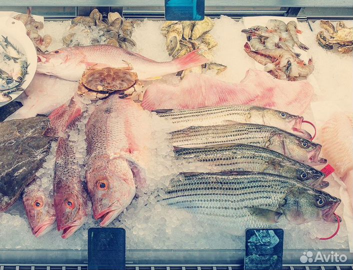 Продаём готовый бизнес Волнорез