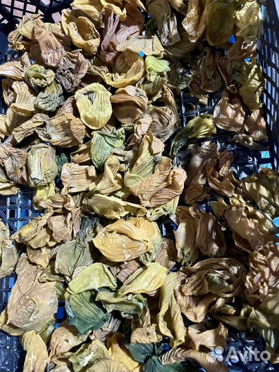 Пленка куриных желудков