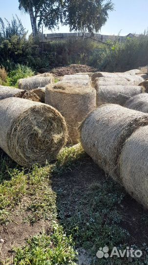 Сено в рулонах