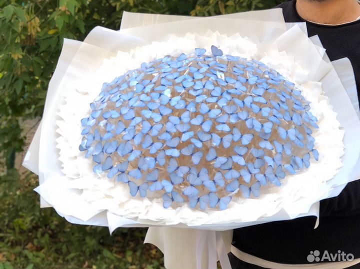 Букет из 151 бабочки