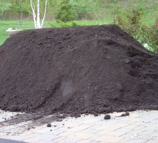 Чернозем плодородная земля