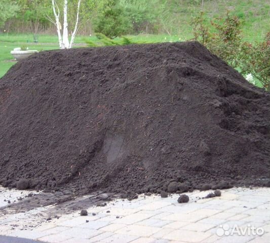 Чернозем плодородная земля