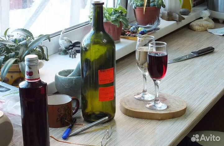 Саженцы винограда продаю