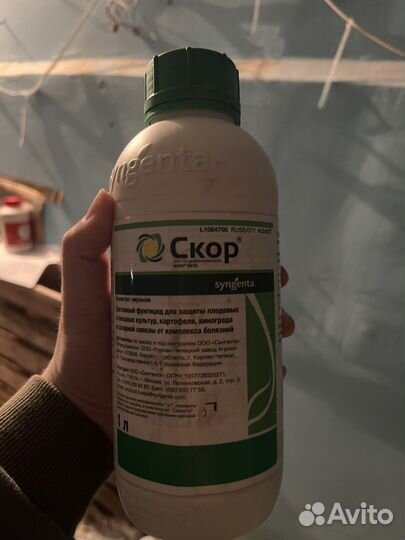 Фунгицид скор