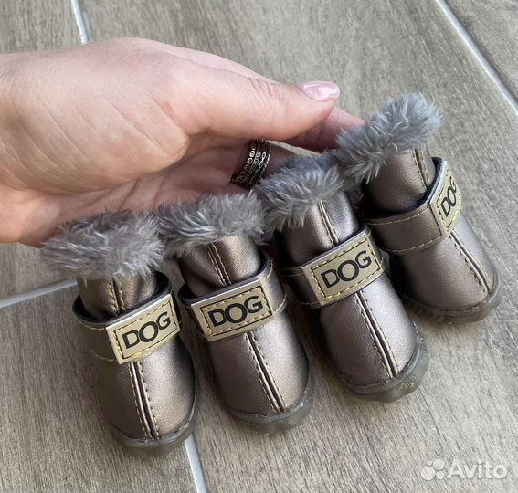 Новые ботинки для собаки
