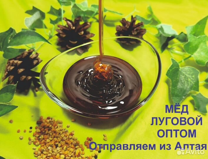 Алтайский мед 2023 г (опт)