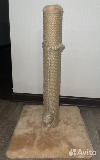 Когтеточка