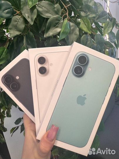 iPhone 16, 512 ГБ