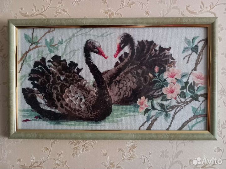 Черные лебеди