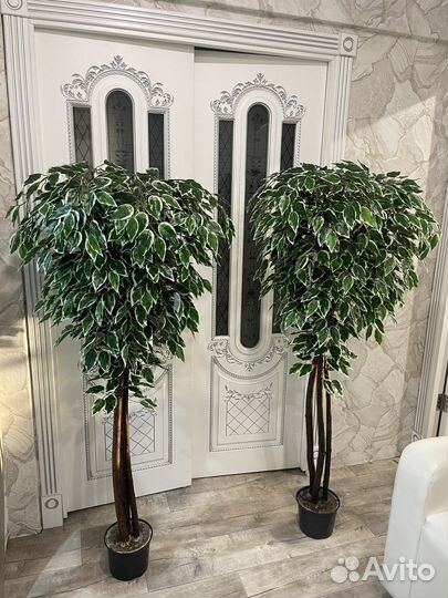 Фикус бенджамина искусственный, дерево