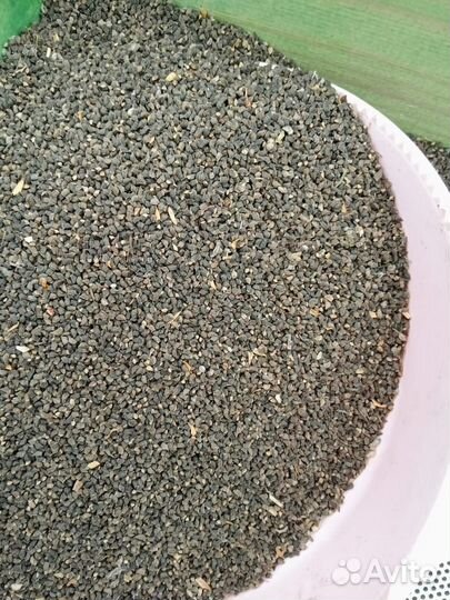 Семена синяка