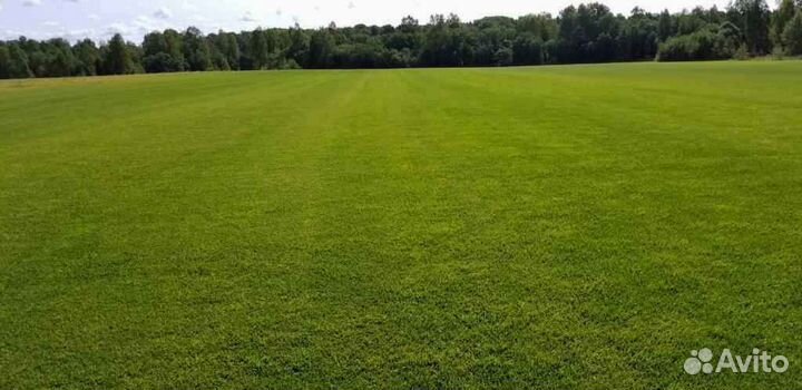Укладка и продажа газона