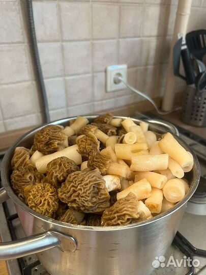 Сморчки новый урожай