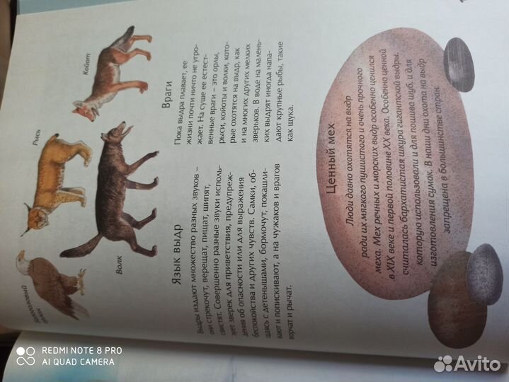 Энциклопедия для детей