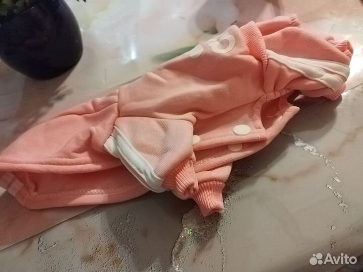 Одежда для маленькой собаки