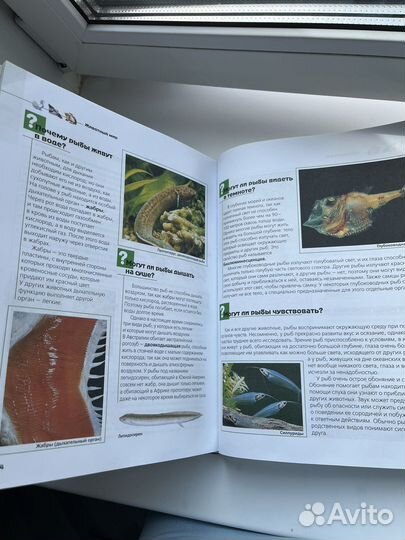 Энциклопедия