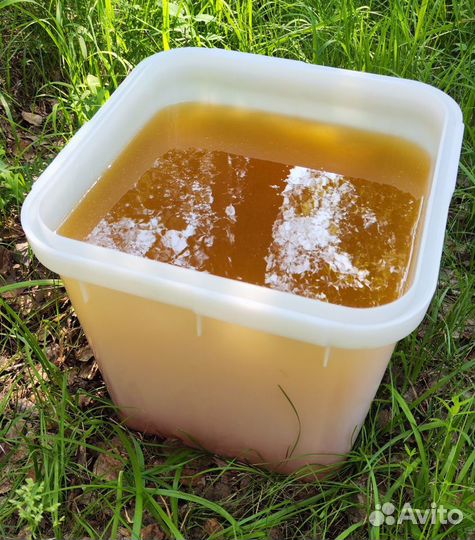 Опт. мёд натуральный алтайский min 16kg