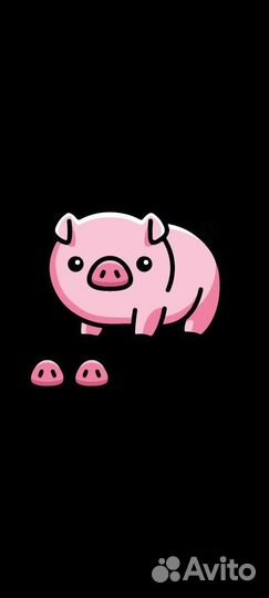 Семя породистых хряков