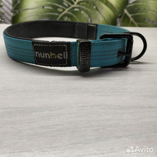 Ошейник для собак