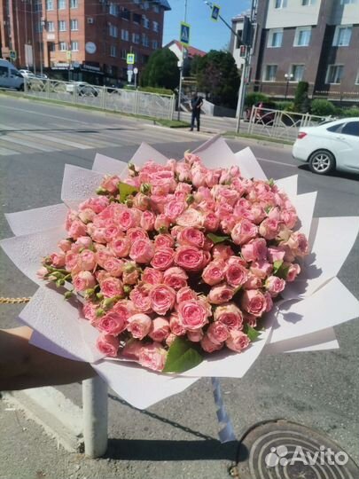 51 Роза кустовая