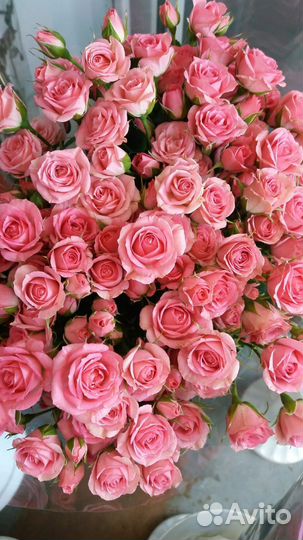 Цветы с доставкой розы