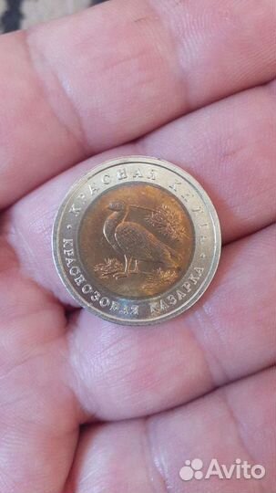 10 рублей,Краснозобая Казарка