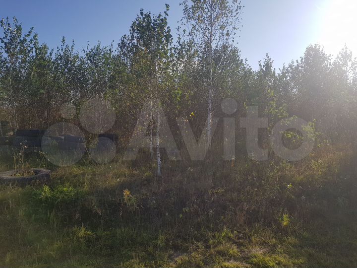 Участок 5 сот. (СНТ, ДНП)