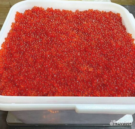 Красная икра кеты, июнь 2023