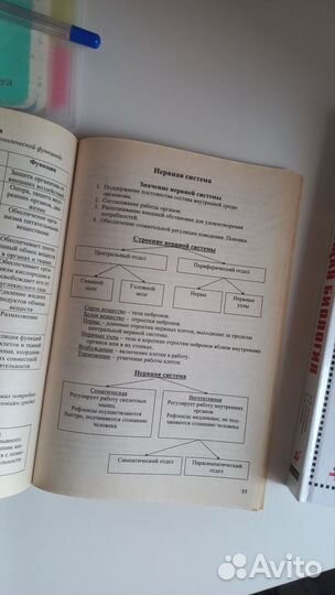 Подготовка к ЕГЭ по биологии