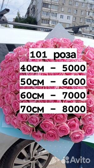 101 роза. 51, 25, любое количество