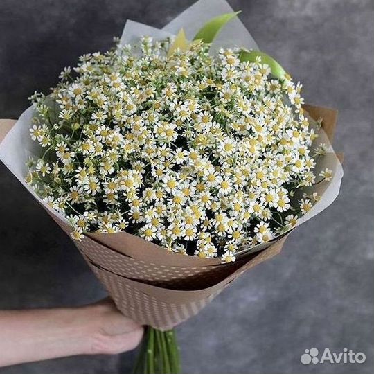 Букеты. Доставка ромашек