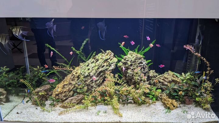 Перевозка аквариума 