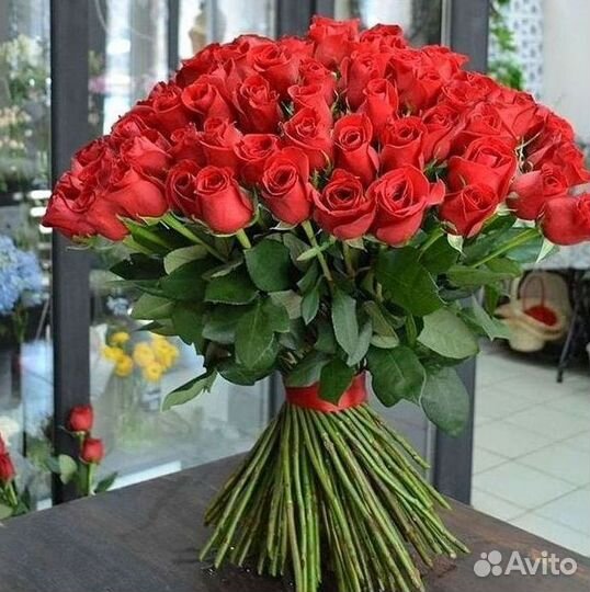 Розы гиганты 140 150 160 170 180 200