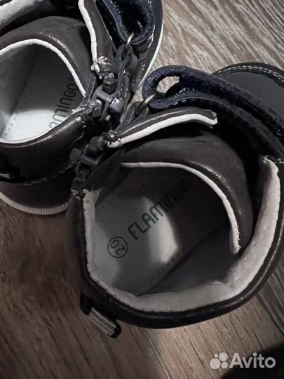 Ботинки для мальчика Flamingo 20