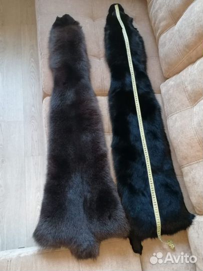 Шкура (писец, евро)