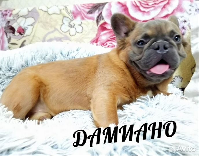 Флаффи для вязки