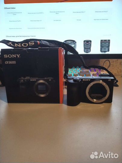 Sony Alpha 6600