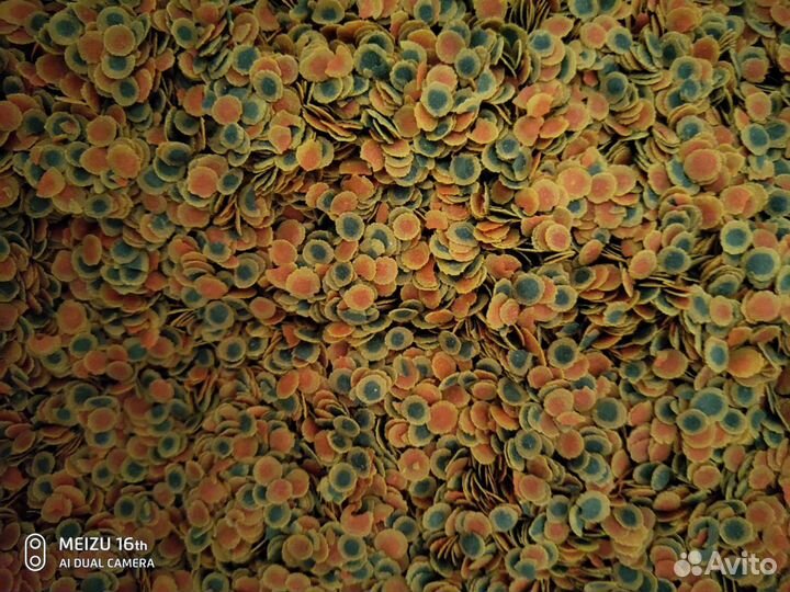 Корм для рыб