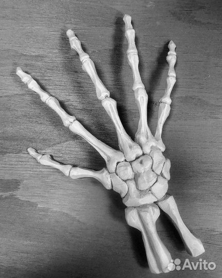 Скульптуры на заказ(Глина,гипс,пластилин)