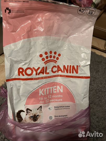 Royal canin kitten