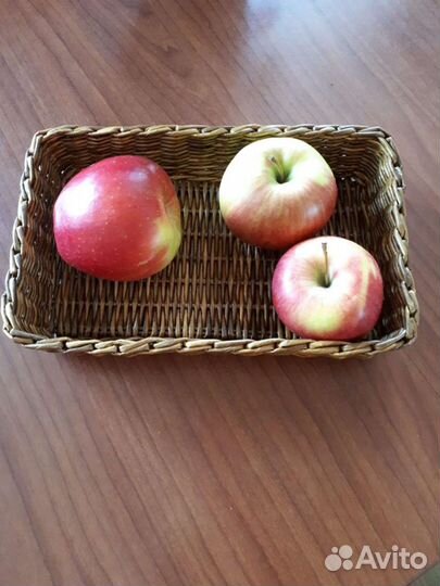 Подносы из лозы