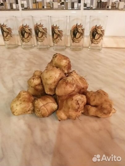 Топинамбур клубни