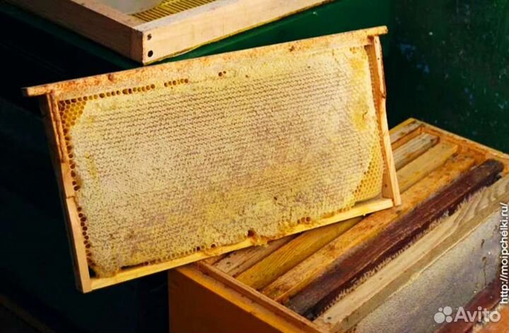 Рамки с мëдом, мед