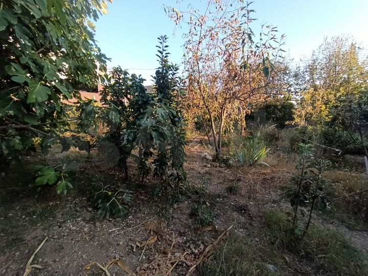 Участок 5 сот. (ИЖС)