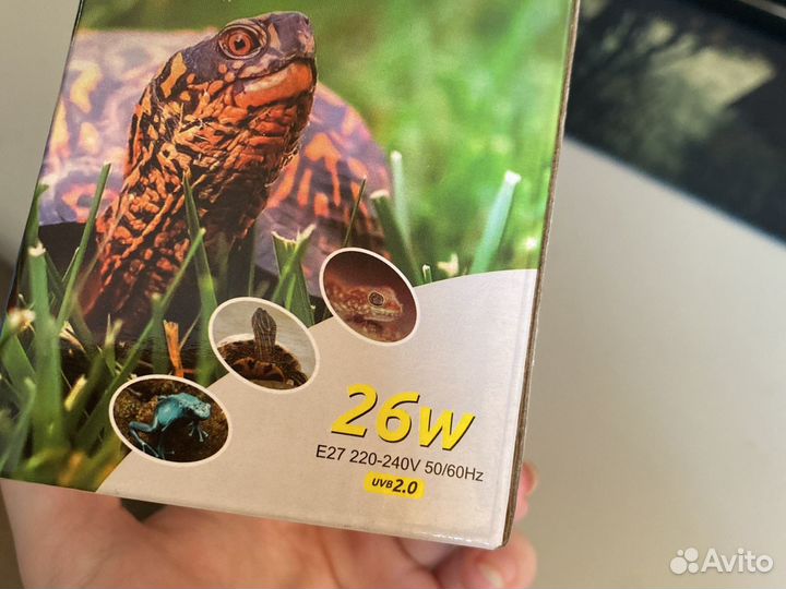 Ультрафиолетовая лампа