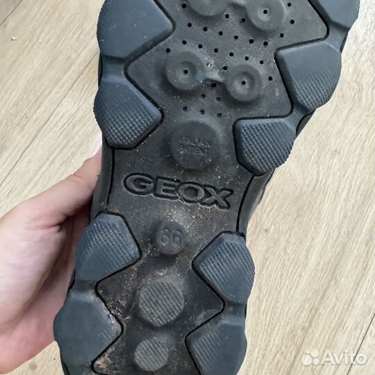 Ботинки осенние geox amphibiox на мальчика