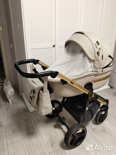 Коляска Adamex Cortina Special Edition 2 в 1