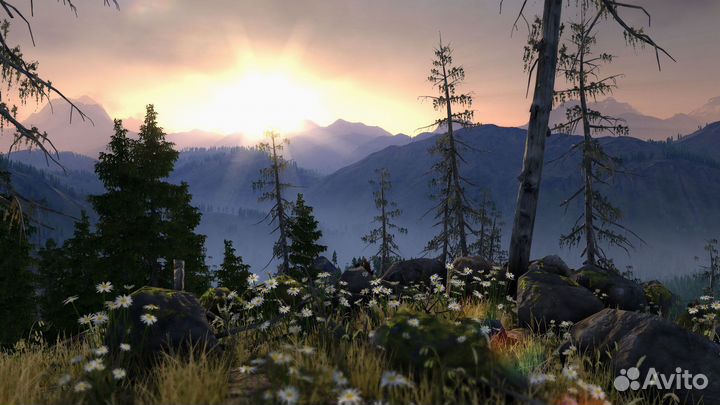 Windows macOS установка программ игр настройка пк