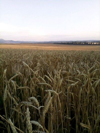 Участок 3040 га (СНТ, ДНП)